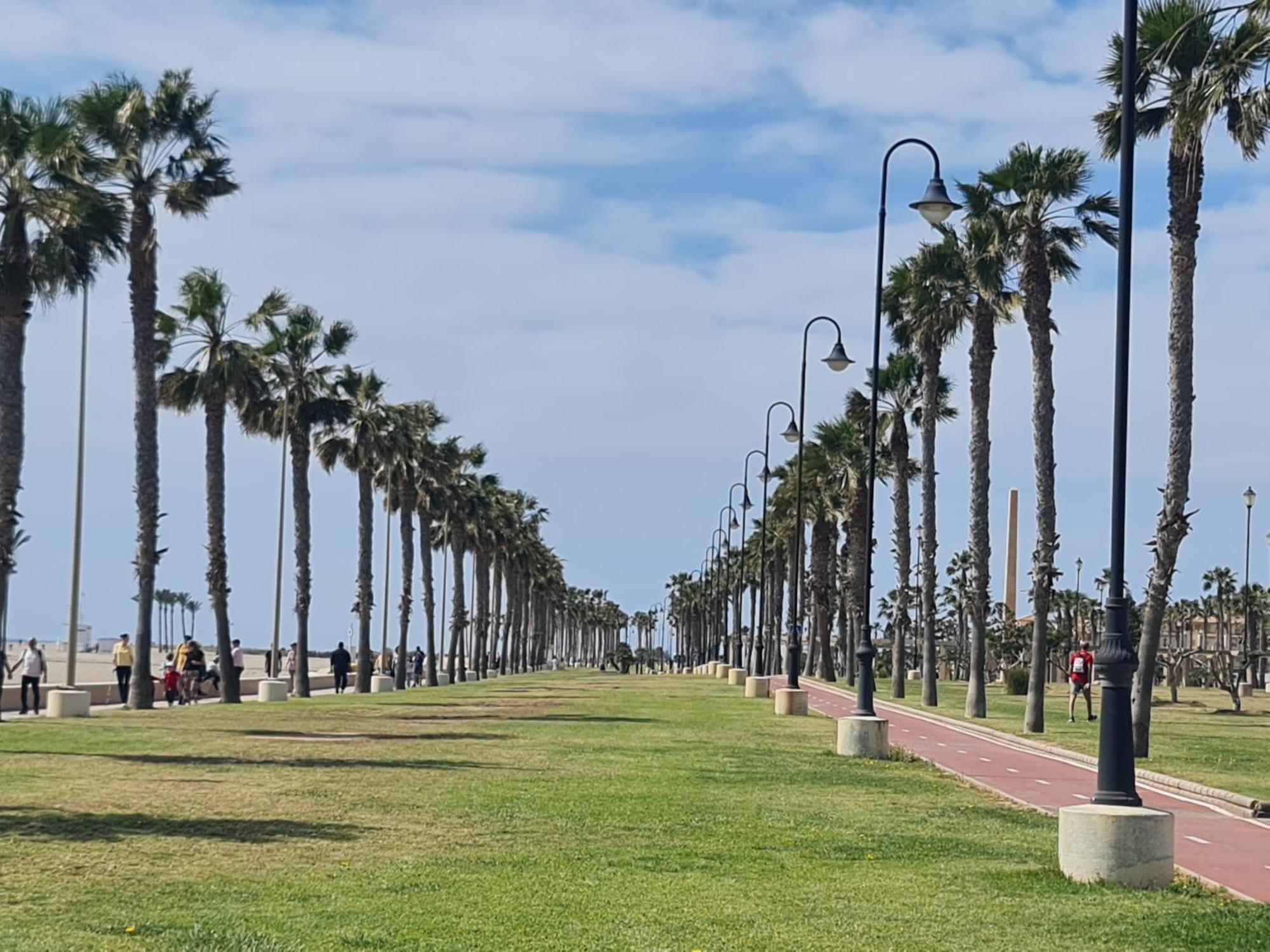 Apartment Sybarix Beach: 1ª Linea De Playa *